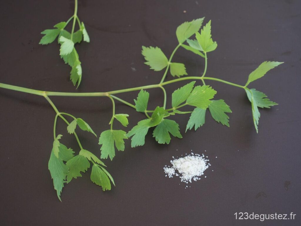 Sel au céleri maison | Recette 1,2,3...Dégustez